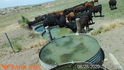 Ranch technology 4.jpg